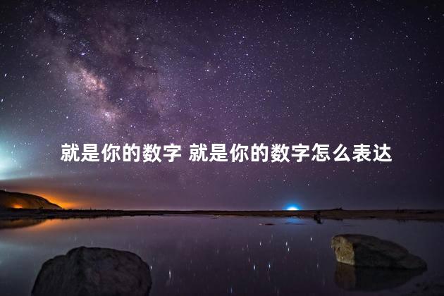 就是你的数字 就是你的数字怎么表达